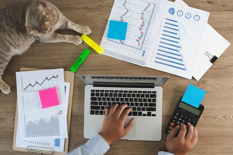 Loan Auditing Reports Unveiled: Expert Analysis img